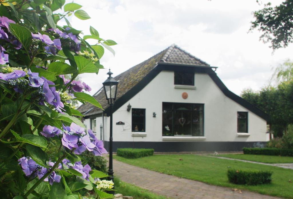 Bed&Breakfast 'T Eikeltje Hollandscheveld Dış mekan fotoğraf