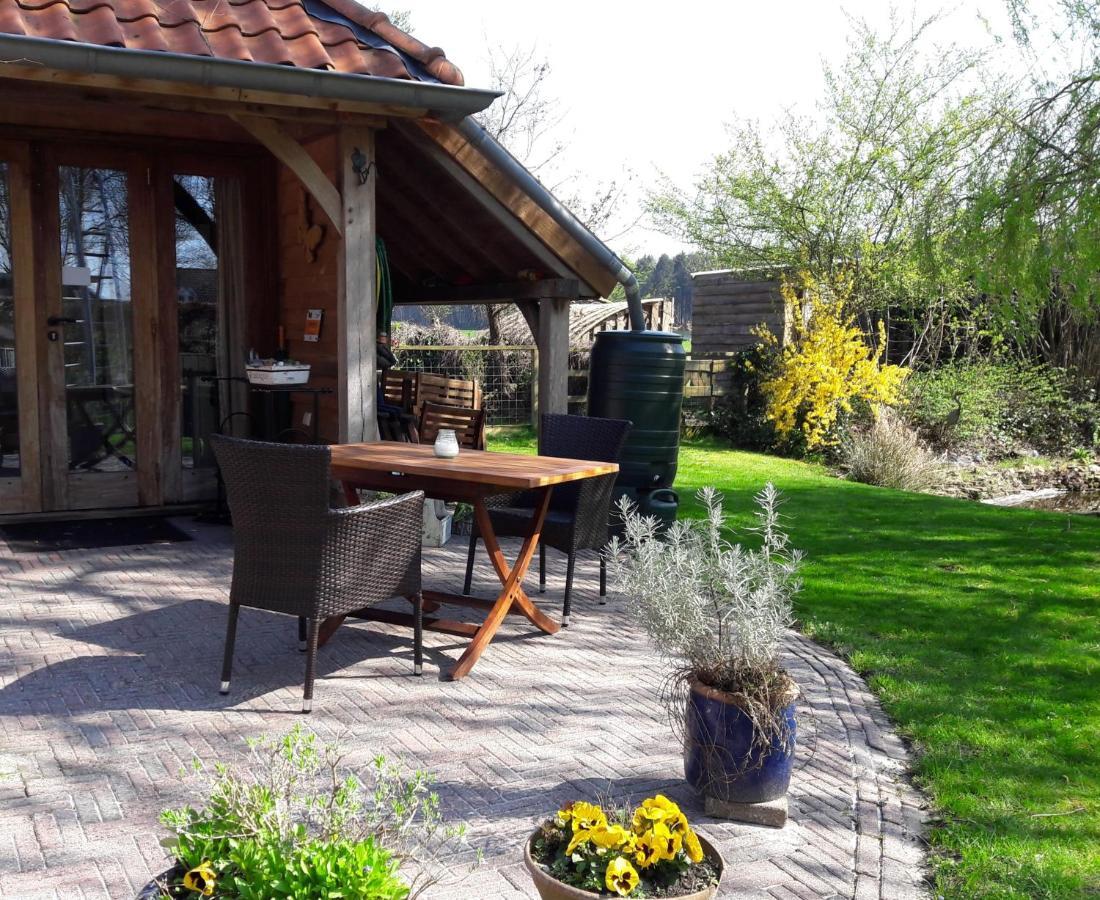 Bed&Breakfast 'T Eikeltje Hollandscheveld Dış mekan fotoğraf